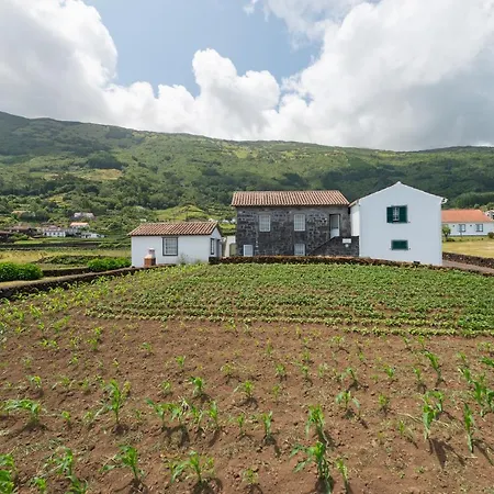 Prainha 상호케도피코