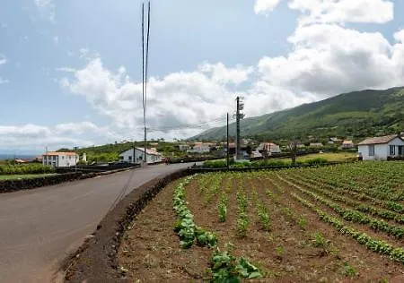 Prainha アパート *